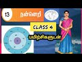 Class 4  tamil lesson 13      nanneri  alpha classroom