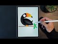 Toucan bird drawing  illustration on ipad pro