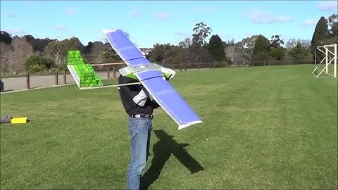 Real Maiden of my Scratchbuilt Twin