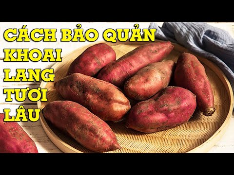 Video: Cách Bảo Quản Khoai Lang đúng Cách