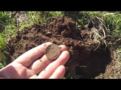 More finds deus