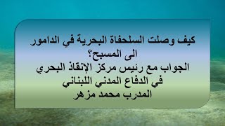 سلحفاة بحرية إلى مسبح؟ كيف؟ لماذا؟ التفاصيل لرئيس مركز الإنقاذ البحري في الدفاع المدني م.محمد مزهر