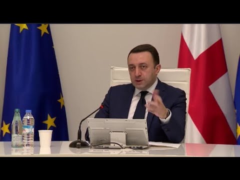 პრემიერის განცხადებები მთავრობის სხდომაზე 06.12.2012