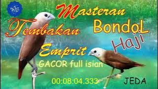 Masteran Tembakan Bondol Haji | Pipit | Emprit Kaji Gacor  |#kicauburung #kicau #empritkaji #emprit