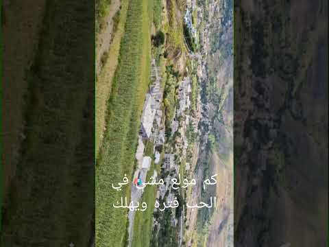 كلمات عنتر العراقي المجنحي غزل كلماتي