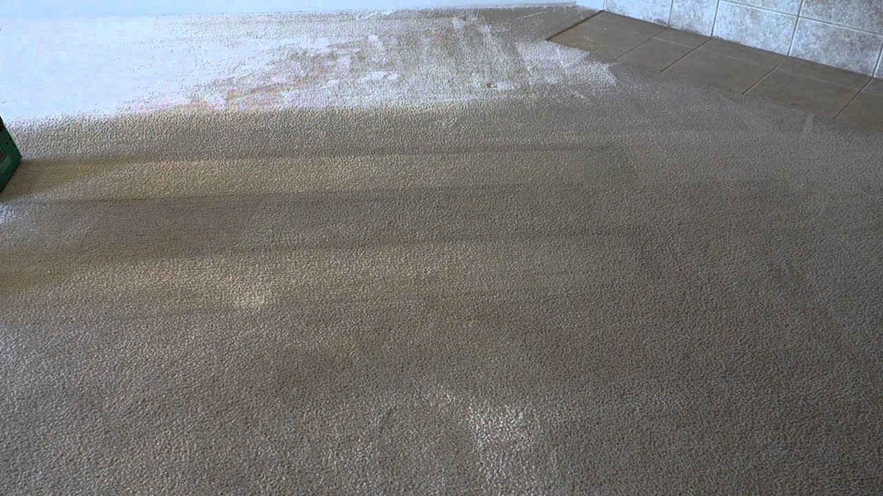 Bissell Big Green VS Rug Doctor Carpet Cleaning YouTube