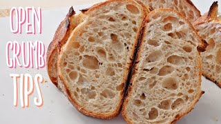 Open Crumb Sourdough Bread | Tips for Beginners
