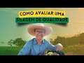 FAZENDAG3 - COMO AVALIAR UMA SILAGEM DE QUALIDADE!!!