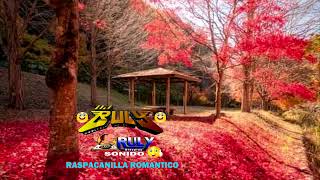 Los éxitos más escuchados en la raspacanilla🎧🎹🎼