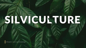An Introduction to Silviculture.#forestry #currentaffairs #forest #dailyvlog #youtube #knowledge 