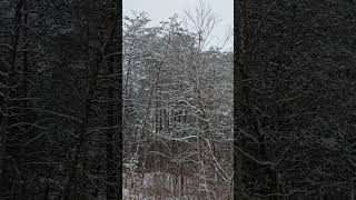 Dios Es Vida #vida #perdón #dios #diosesbueno