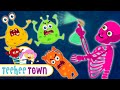 This Is The Way We Wash Our Hands Song + Spooky Scary Skeleton Songs For Kids | Teehee Town