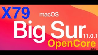 Big Sur 11.0.1 OpenCore x79