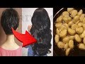 HOMEMADE GARLIC HAIR OIL FOR HAIR GROWTH ~ GET THICK HAIR, LONG HAIR, HEALTHY HAIR | PRIYA MALIK