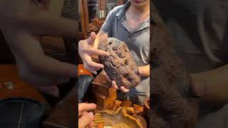 Download Lagu True Ganoderma lucidum can live forever, and wood Ganoderma lucidum can \ MP3