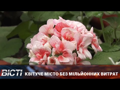 Хто такі озеленювачі?