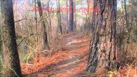 Quest for the Crystal Key to the Chamber of Cosmic Knowledge SNEAK PEEK TRAILER!!