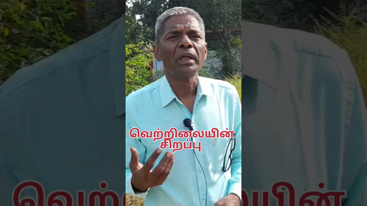 🙏 வெற்றிலையின் சிறப்பு 🙏