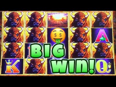 Buffalloooo! Winning on Buffalo Link Chasing a Maxed Out Major at the M Resort in Las Vegas!