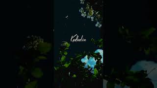 Kadhal Aasai Songanjaan Movielyrics Whatsapp Statustamil Love Songsubscribe For More Videos