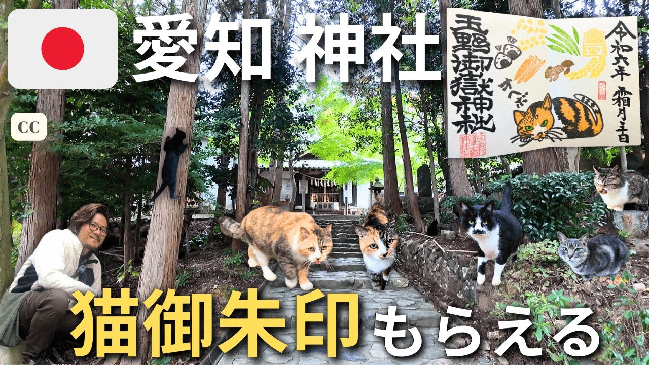 Discover Tamano ontake Shrine 🇯🇵 Cat Lover's Paradise
