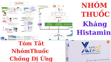 Nhóm thuốc kháng histamin H1 - Kháng dị ứng | Dược Lý thuốc kháng  histamin video1 | Y Dược TV