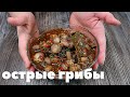 Рецепт Грибов Шампиньонов. Как Очень Вкусно и Правильно Мариновать Шампиньоны. Острые Шампиньоны