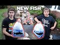 BUYING *NEW* FISH for HIS POND!!