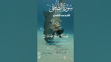 تلاوة خاشعة عطرة مباركة جميلة عذبة للشيخ سعد الغامدي سورة الضحى