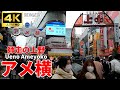 【4K Japan】※速報※ 2024.12 師走の上野 アメ横『December Ueno Ameyoko』 #上野 #アメ横 #師走 #ストリートフード