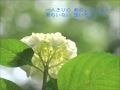 大沢誉志幸/WEEKENDは夏の匂い #Lyrics