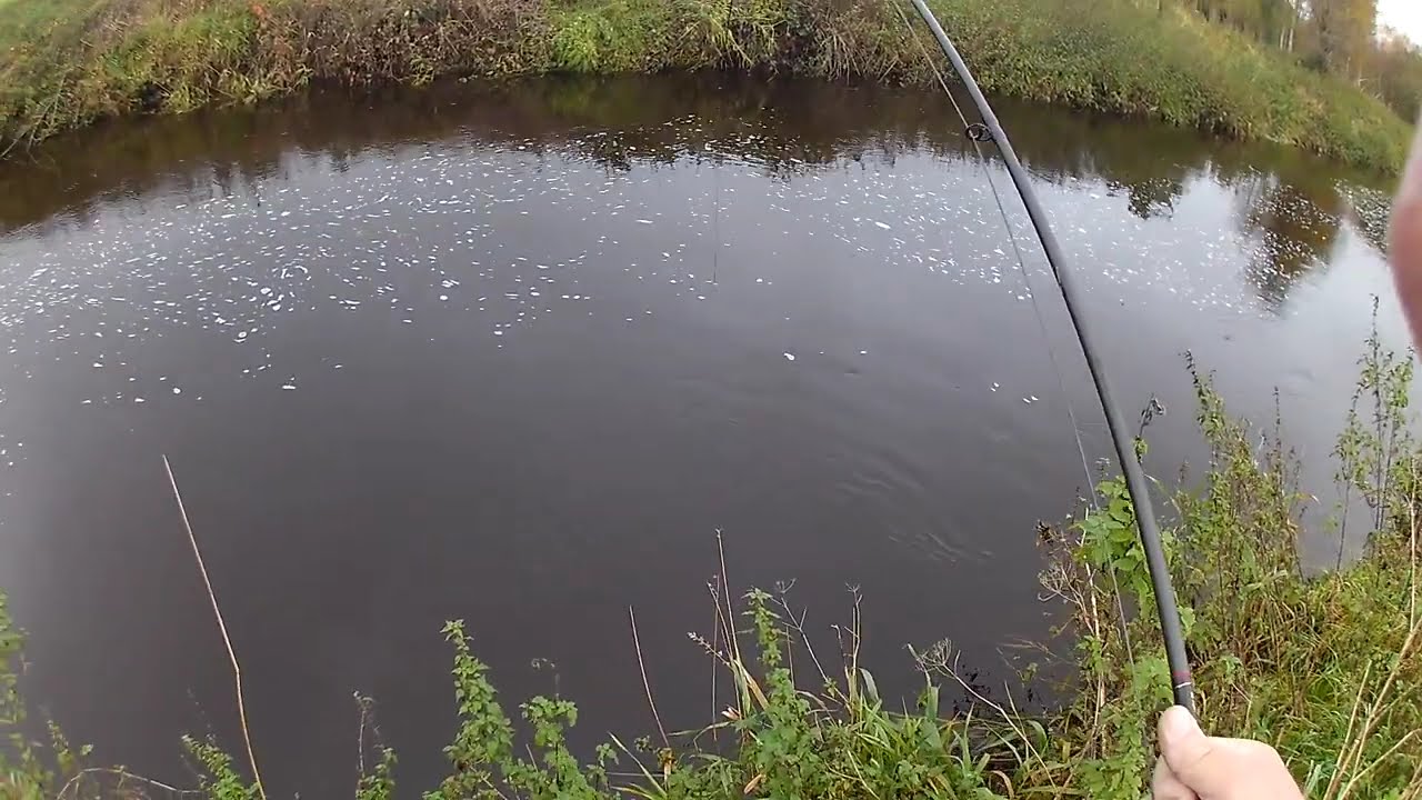 Wow !!! the Salmon put up a hard fight.