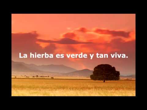 Diviners - Savannah feat. Philly Kletra en español ( Lirycs)