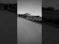 وليت انسان سلبي 