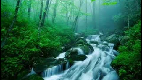 تلاوه من سورة مريم -الشيخ خالد الجهيم.flv