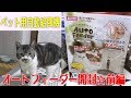 猫と一緒に☆ペット用オートフィーダーを開封☆開封の様子を最前線で見守る猫リキちゃん☆イオンペット犬用福袋【リキちゃんねる　猫動画】Cat videos キジトラ猫との暮らし