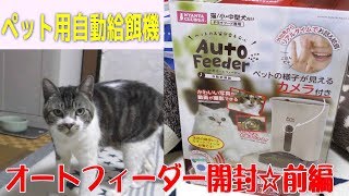 猫と一緒に☆ペット用オートフィーダーを開封☆開封の様子を最前線で見守る猫リキちゃん☆イオンペット犬用福袋【リキちゃんねる　猫動画】Cat videos キジトラ猫との暮らし