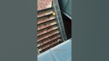 We were exploring this elementary school when… #abandoned #urbex #explore #scary #backrooms #fyp