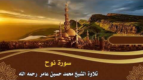 سورة نوح || الشيخ محمد حسين عامر رحمه الله