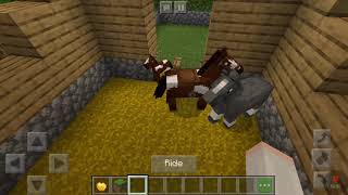 Rosewood Stables ~ Ep. 1 ~