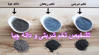 تفاوت تخم شربتی و تخم ریحان و دانه چیا - Basil Seeds Vs Chia Seeds