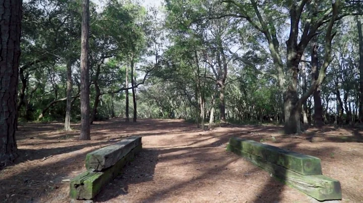 Trail Tuesday: Kure Beach Disc Golf Course