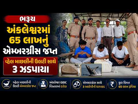 #bharuch | અંકલેશ્વરમાં 65 લાખનું એમ્બરગ્રીસ જપ્ત | #drashtikonnews