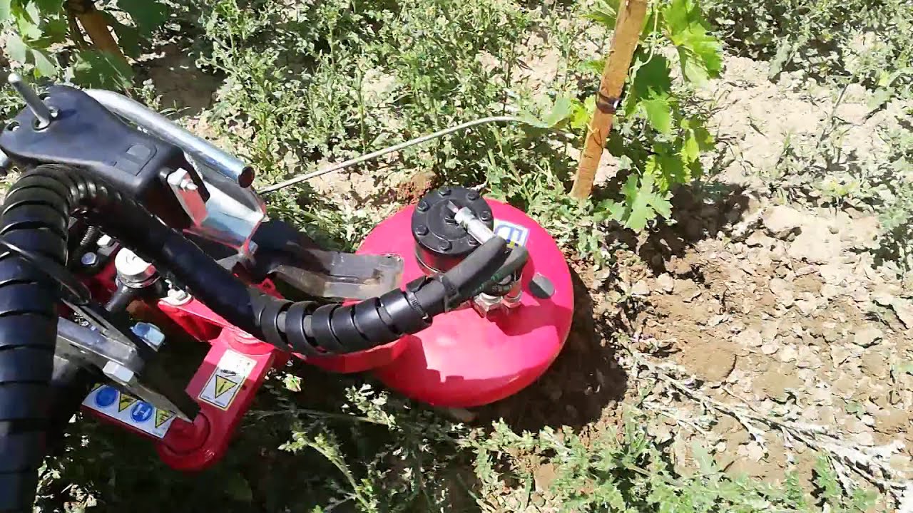 Intercep I-David Holder M480