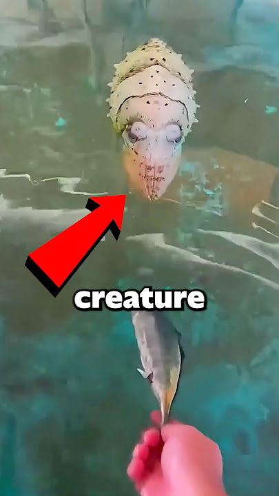 It Looks Like an Alien… But It’s 100% REAL