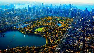 MagiCXbeats - Central Park