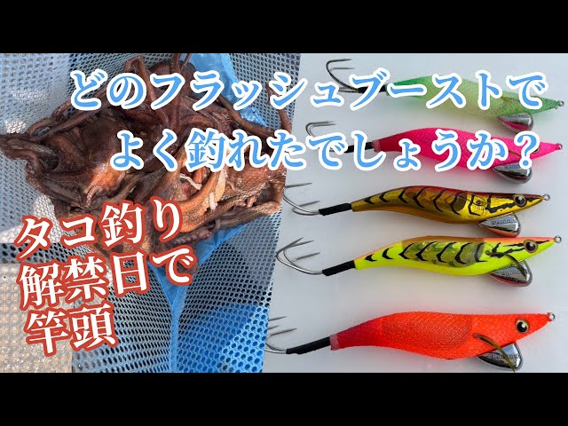 【タコ釣り】爆釣セット‼️エギ10本　ケース付き‼️フラッシュブースト‼️明石で実績‼️ タコ釣り】爆釣セット‼️エギ10本 ケース付き‼️フラッシュ