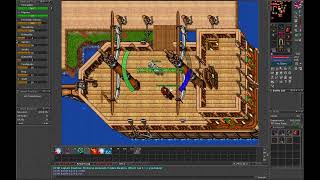 Tibia Vocation Promotion - Elder Druid, Master Sorcerer, Elite Knight, Royal Paladin Wealth