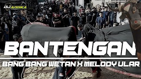 BANTENGAN BANG BANG WETAN X MELODY ULAR • BASS JLEB HOREG Viral • DJ ANDIKA •