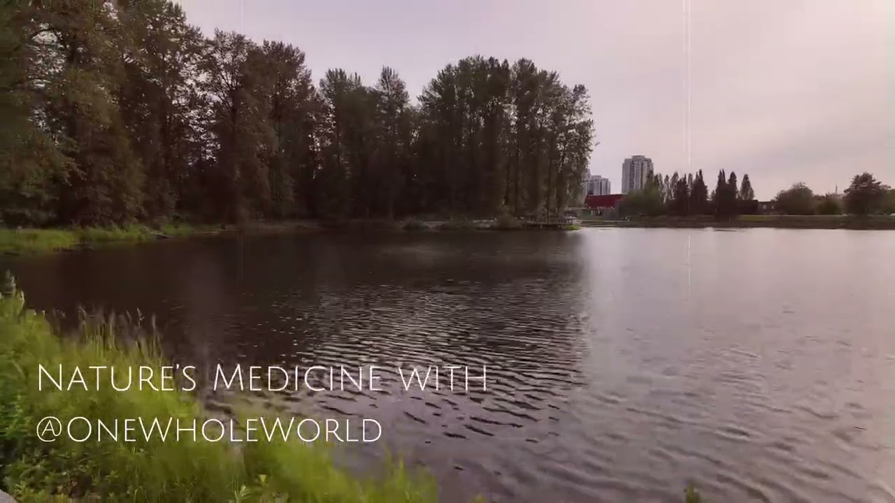 Lafarge Lake, Coquitlam, B.C. with @OneWholeWorld 06.11.2025